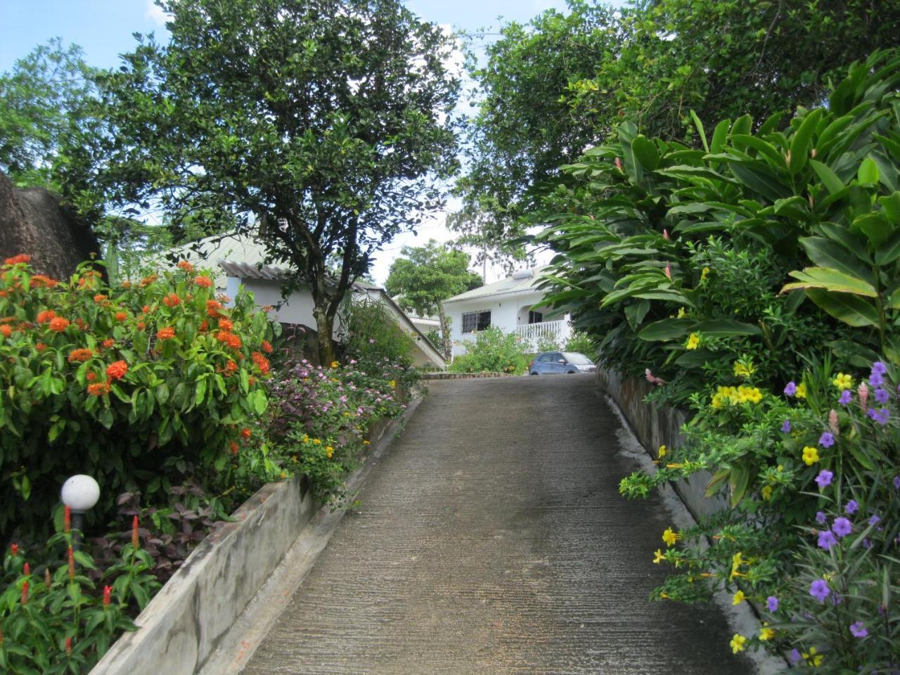 Chepsted Chalets Glacis  ภายนอก รูปภาพ