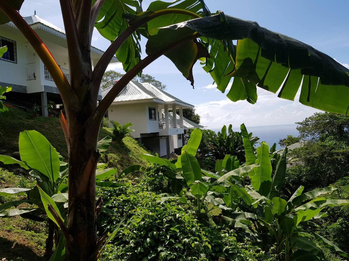 Chepsted Chalets Glacis  ภายนอก รูปภาพ