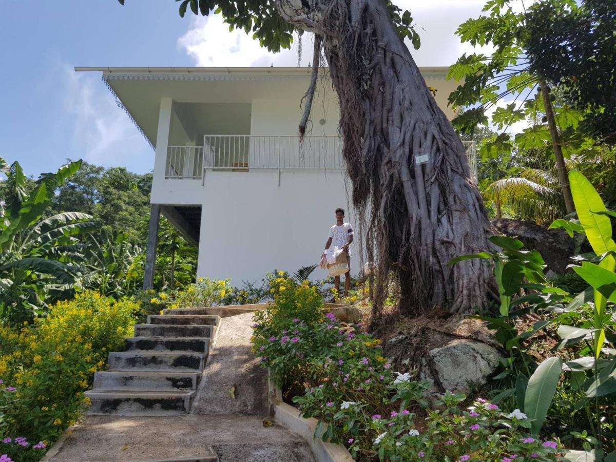 Chepsted Chalets Glacis  ภายนอก รูปภาพ